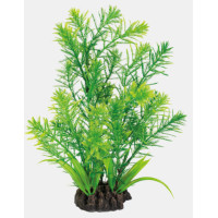 ART PLANT HOTTONIA